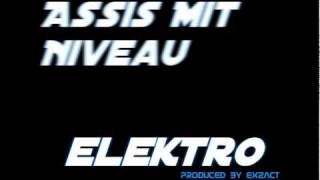 Assis mit Niveau - Elektro