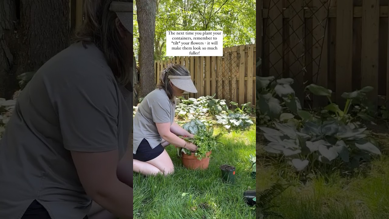 The Flower Pot Hack You Didn't Know You Needed 🌸🪴 | Why You Should TILT Your Plants!