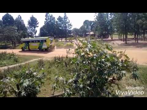 King Msukuma A K A Faru John