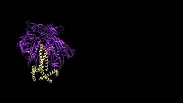 HIV Envelope Glycoprotein: Fusion and Inhibition