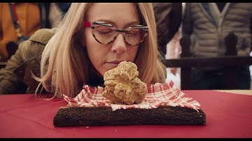 The Truffle Hunters - officiële trailer