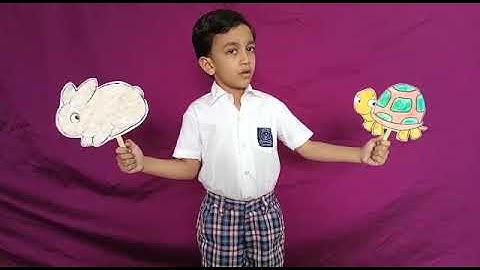1st prize winner story telling competition""a hare & tortoise.