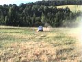 Auto testing