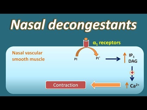 Nasal decongestant - How they act?