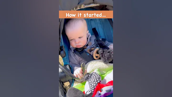 Learning about snakes 🐍👀 #forestschool #snakes #naturewalk #snakevideo #snakeeducation #snakelife