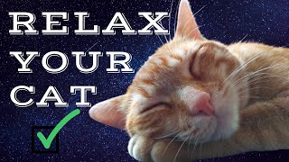 Harmony for Whiskers: Calming Tunes for Contented Cats