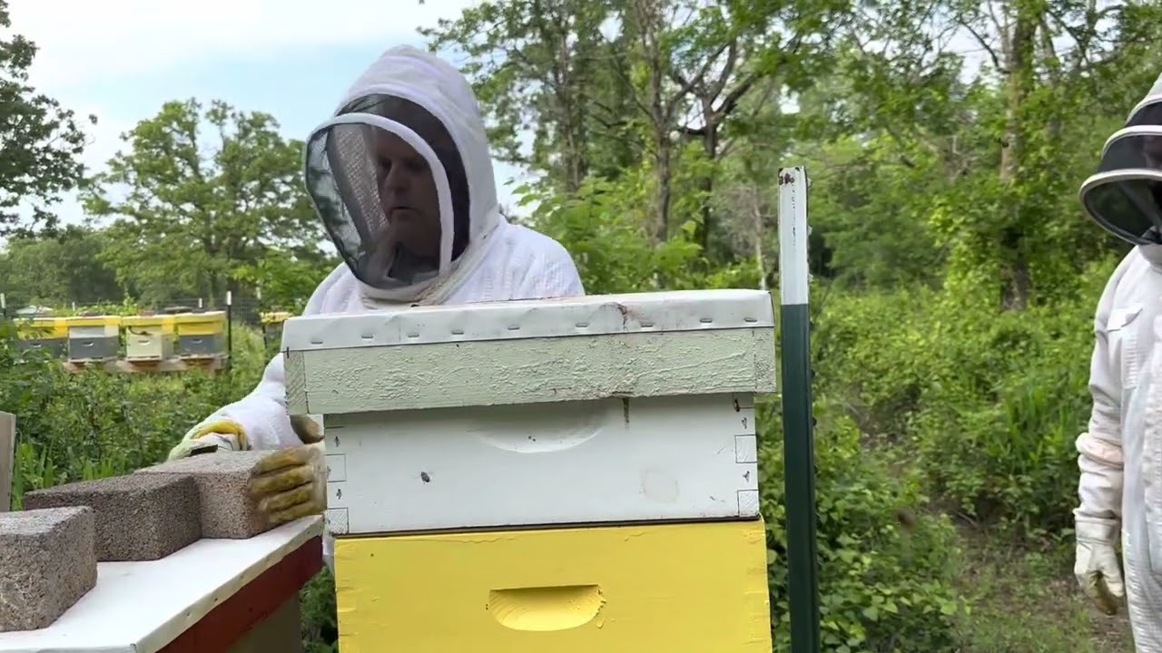 First taste of honey 05/27/2023