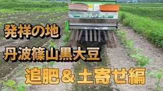 発祥の地　丹波篠山黒大豆　『追肥＆土寄せ編』
