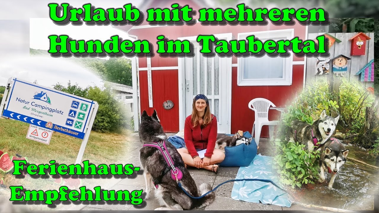 alvi schlafsack mit innensack Baby-Mäxchen® Innensack (BIO-Baumwolle) main image 0