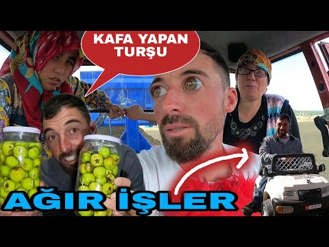 Video: Fuarda Görüşürüz: 1. Bölüm - Günlük Veteriner