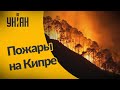 На Кипре горят целые гектары леса