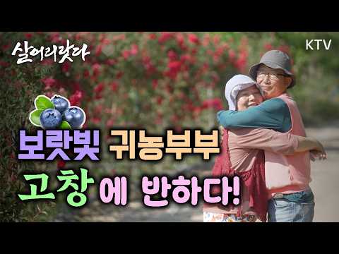(전북 고창/387회) 은퇴하고 산골로 떠난 부부, 보랏빛 고창에 반하다!ㅣ#KTV #살어리랏다 #귀농 #귀촌 #블루베리 #고창