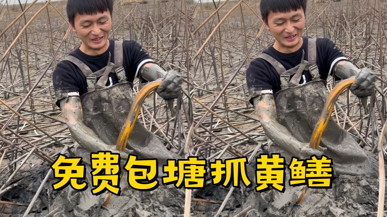 水猴子免费包塘抓黄鳝跟老板一人一半，老板这次学聪明了！