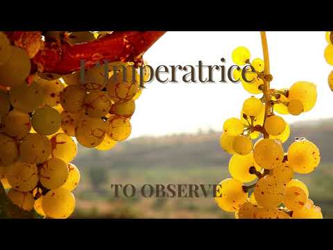 L‘Imperatrice Fine Wines