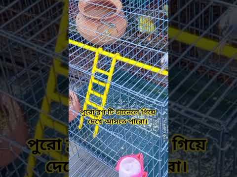 আজকের ব্লগের কিছু আংশ 😃❤️😱। #funny #shorts #shortsfeed #funnyshorts
