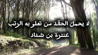 لا يحمل الحقد من تعلو به الرتب | إلقاء: أحمد حساني