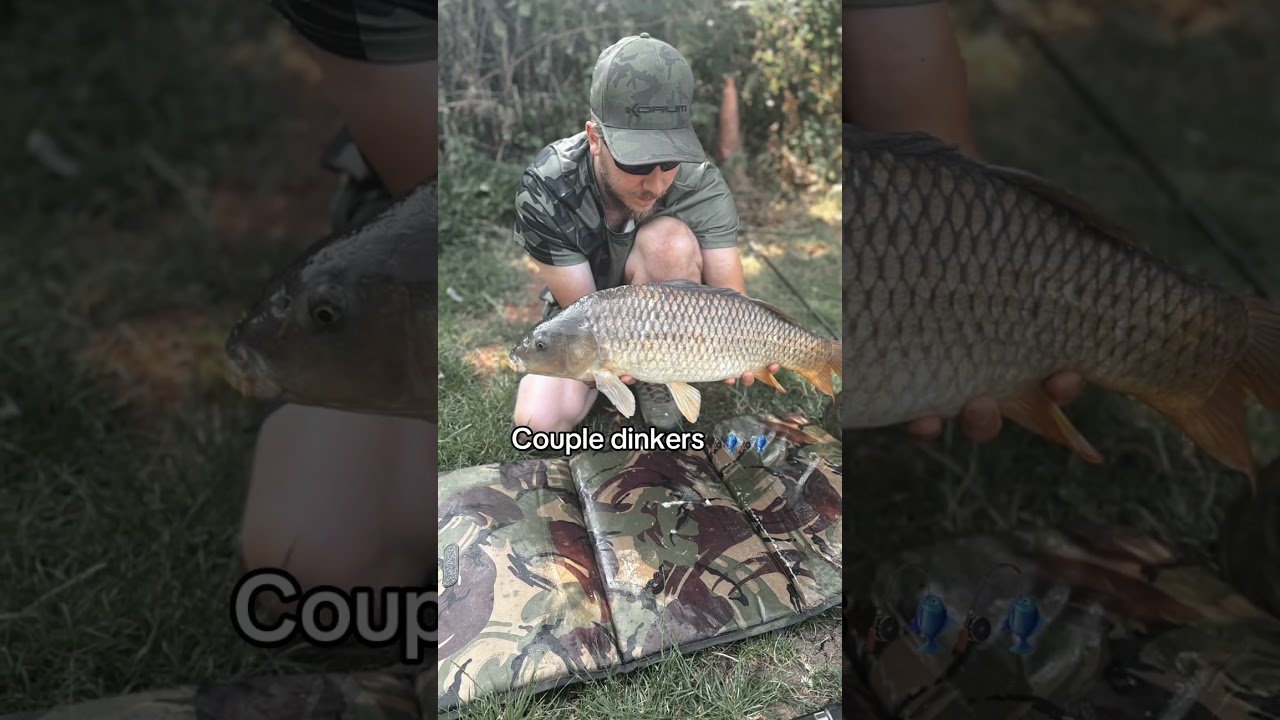 Couple dinkers session 