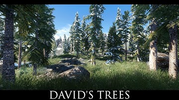 TES V - Skyrim Mods: David