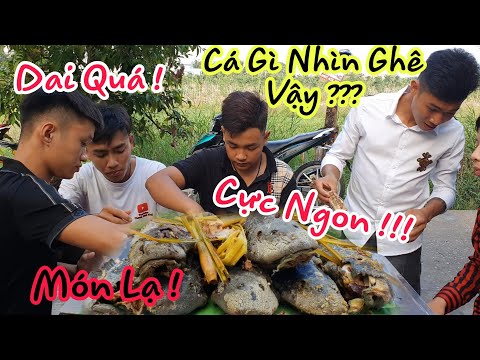 Video Cả Team Làm Món Cá Lau Kiếng Được Mệnh Danh Là Gà Nước... - youtube