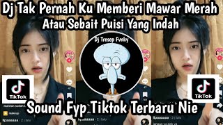 Dj Tak Pernah Ku Memberi Mawar Merah Atau Sebait Puisi Yang Indah  Dj Ga Romantis Viral Tiktok Nie