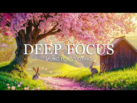 Deep Work Music for Concentration - 12 Hours of Ambient Study Music to Concentrate #2