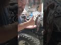 Betsy the Jeep. cold start after 6 years.