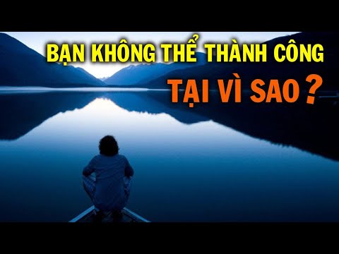 Video: Tại Sao Bạn Không Thể đưa Dao