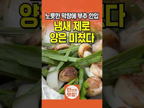 강서구 숨은 곱창 맛집, 가성비에 놀랐다!