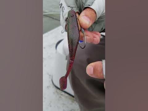 How to properly rig a #willowmakerjig on a #willowtailshad 