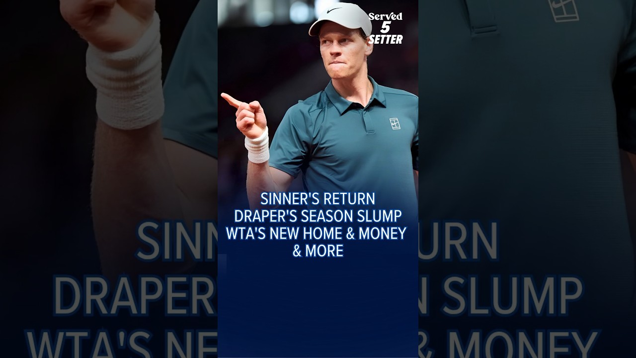 5 SETTER IS BACK!