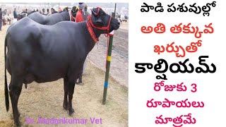 Low cost Natural calcium to Buffaloes and Cows | Rs.3 per day Telugu | Dr. Madankumar Vet