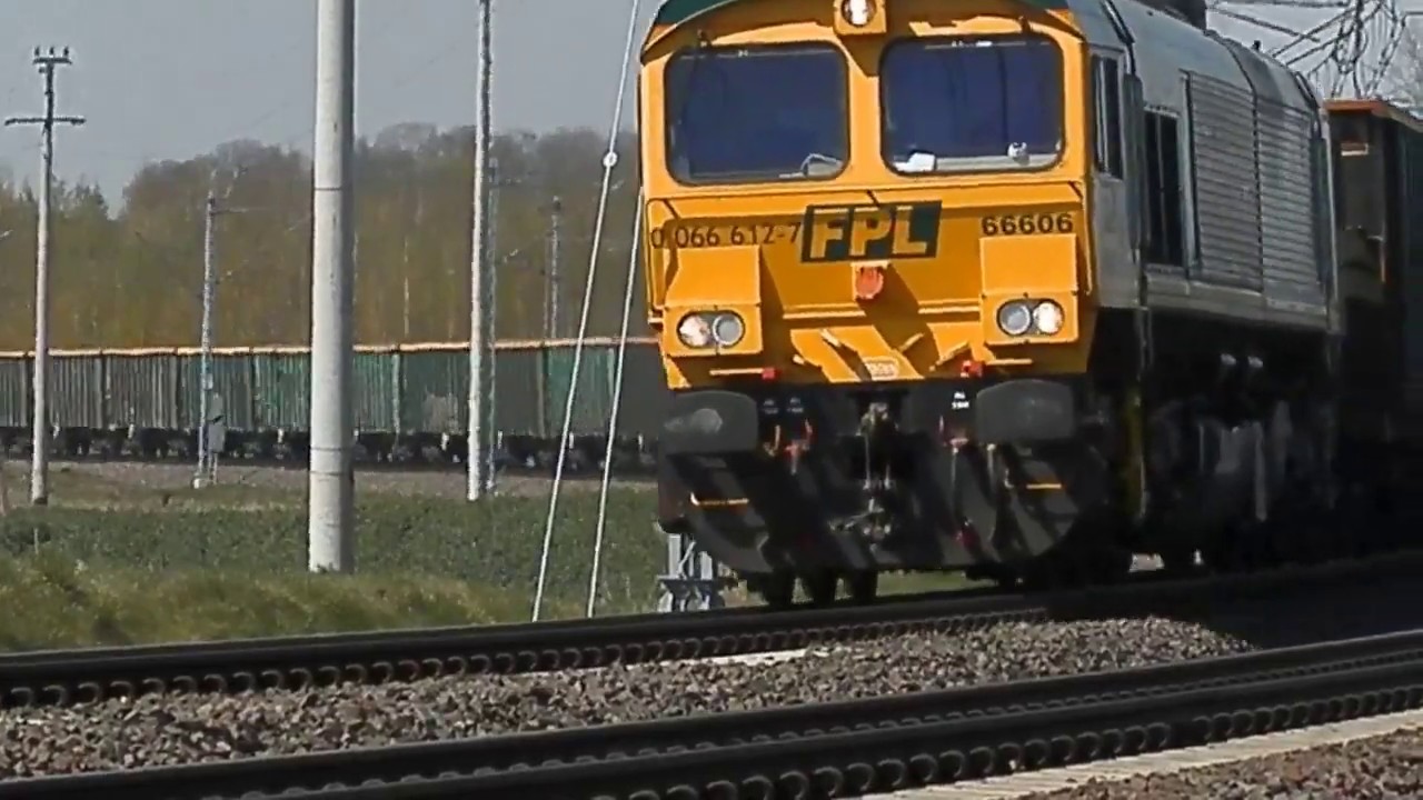 PSN | Kompilacja sygnałów RP1 - 2019