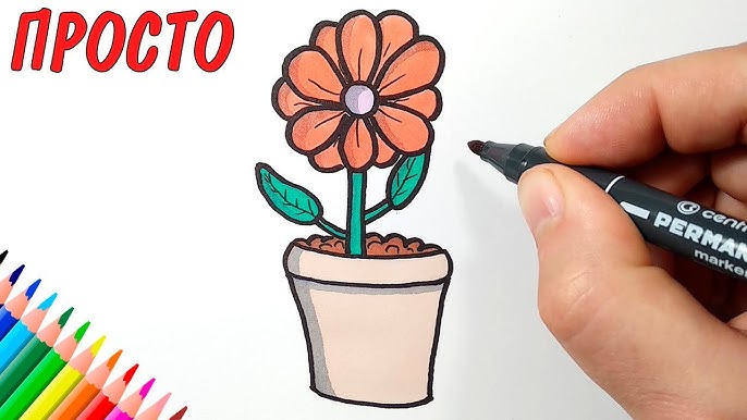Как нарисовать гвоздику поэтапно карандашом