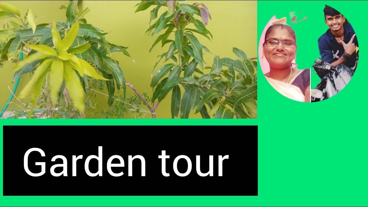 Home garden tour in Tamil /GARDEN TOUR IN TAMIL ☘️🌹🌷Vlog in Tamil