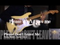 Please Don't Leave Me - Guitar Cover