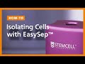 How to isolate cells with easysep columnfree cell separation technology