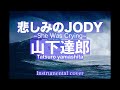 山下達郎   ///   悲しみのJODY ~She Was Crying~ ( Instrumental )