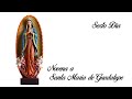 NOVENA A SANTA MARÍA DE GUADALUPE - DÍA 6