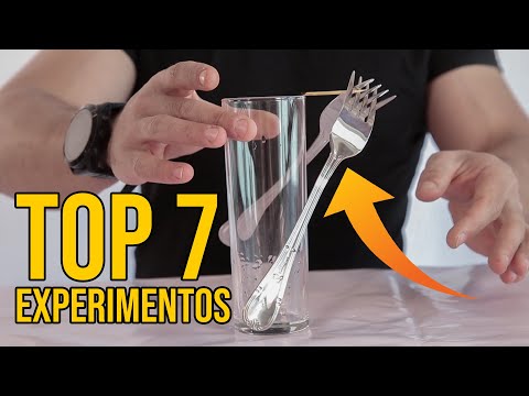 TOP 7 EXPERIMENTOS
