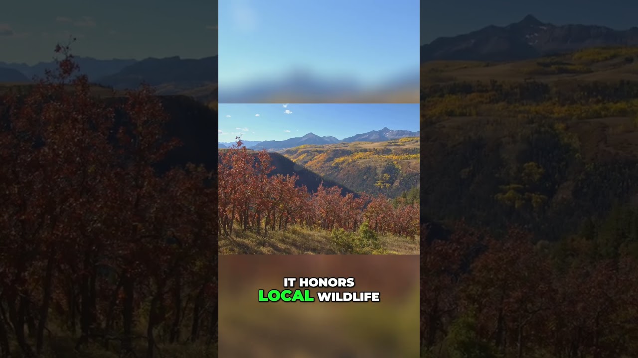 Tarantula Trek: Colorado's Wildest Spider Festival!