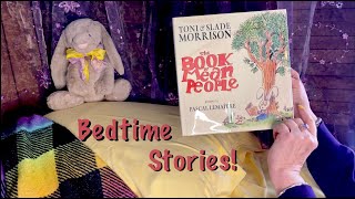 ASMR Bedtime Stories (Soft Spoken) Four stories for sleep & relaxation. Dust jacket crinkles! screenshot 5