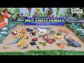 Learn Wild Jungle Animals Names and Sound | Kidiez World TV Animals Live