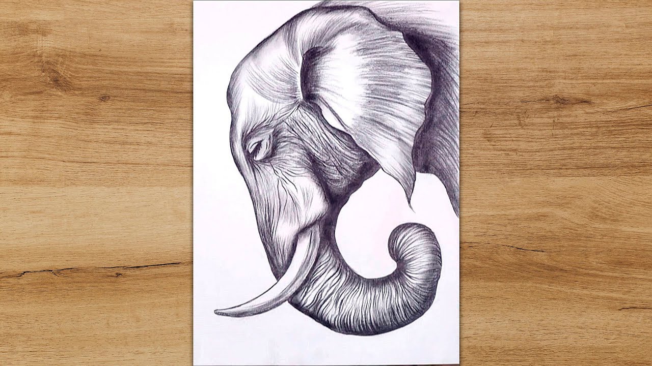 Art Maker Made Simple Drawing & Sketching Kit: Elephant and Calf –  CuriousUniverse