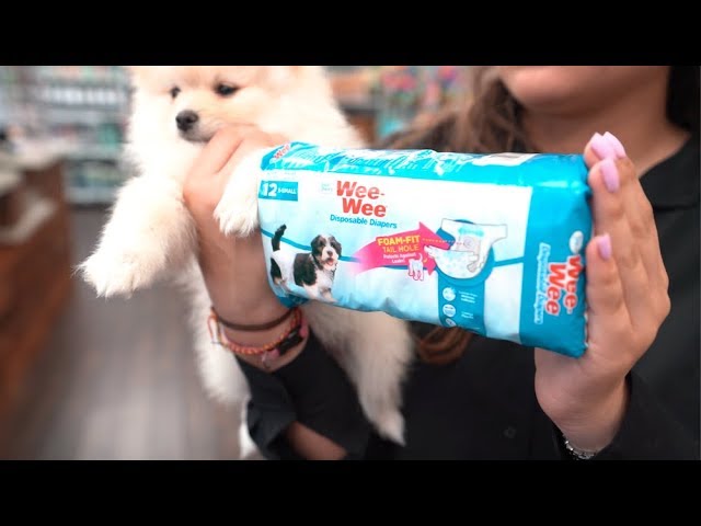 wee wee washable diapers