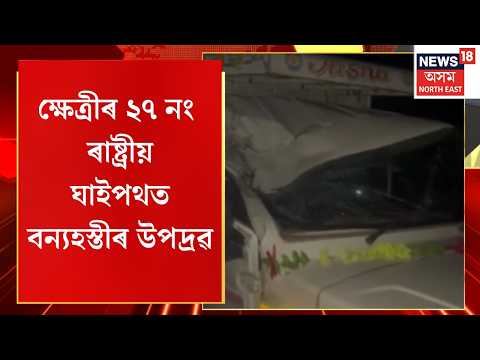 Elephant Attack in Khetri | ক্ষেত্ৰীৰ ২৭ নং ৰাষ্ট্ৰীয় ঘাইপথত বন্যহস্তীৰ উপদ্ৰৱ | Assam News