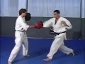 Kyokushinkai karate   training with the striking pads  andy hug and michael wedel