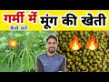 गर्मी में &quot;मूंग की खेती&quot; कैसे करें🔥Moong Cultivation in Summer || Greengram Farming in India||