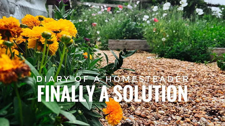 The Secret to Weed-Free Gravel Garden Pathways
