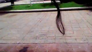 Capture 20090702