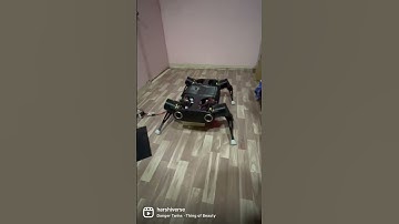 Schvaan robot dog walking!
